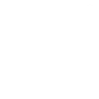 Made in NY